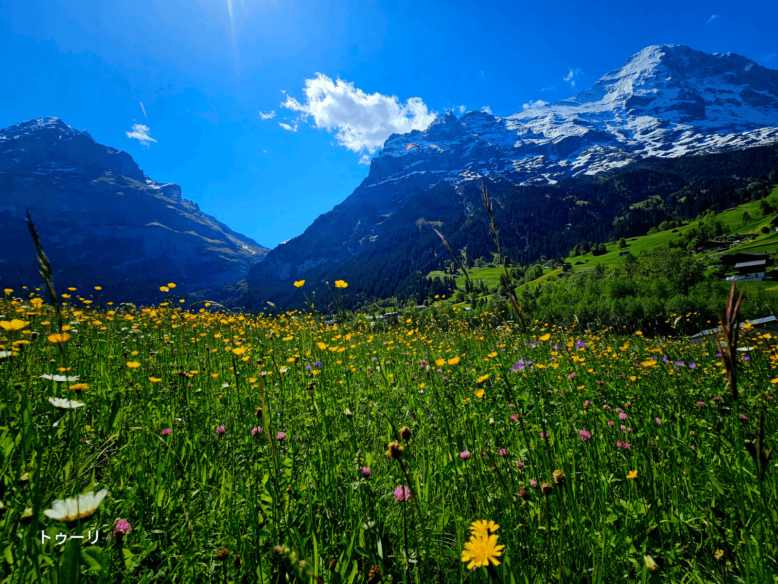 スイスアルプスの絶景