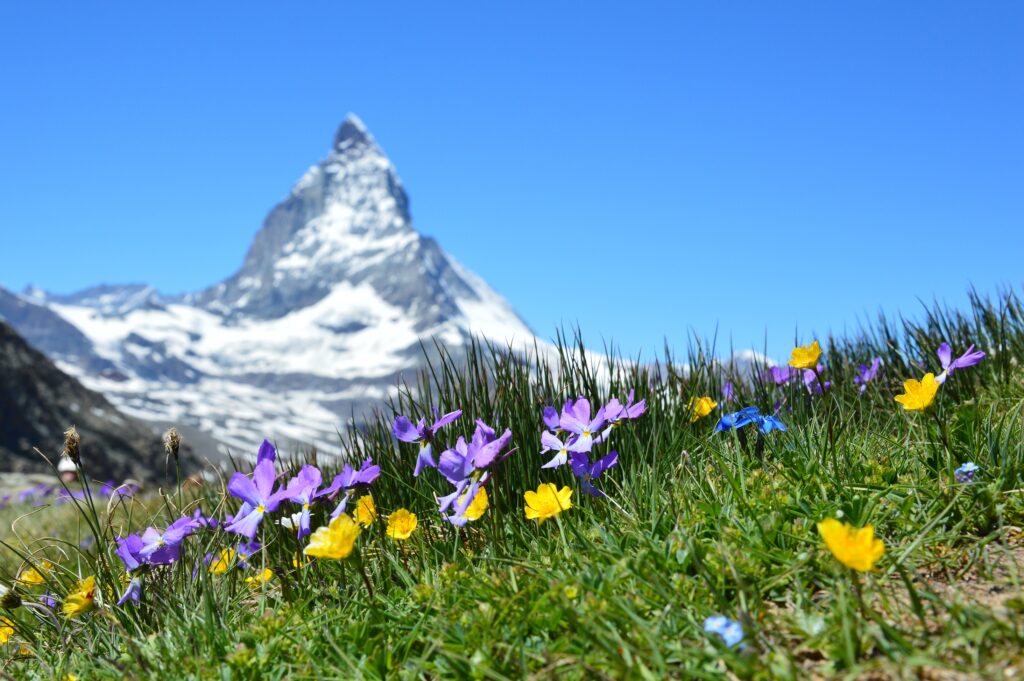 スイス旅行 ベストシーズン